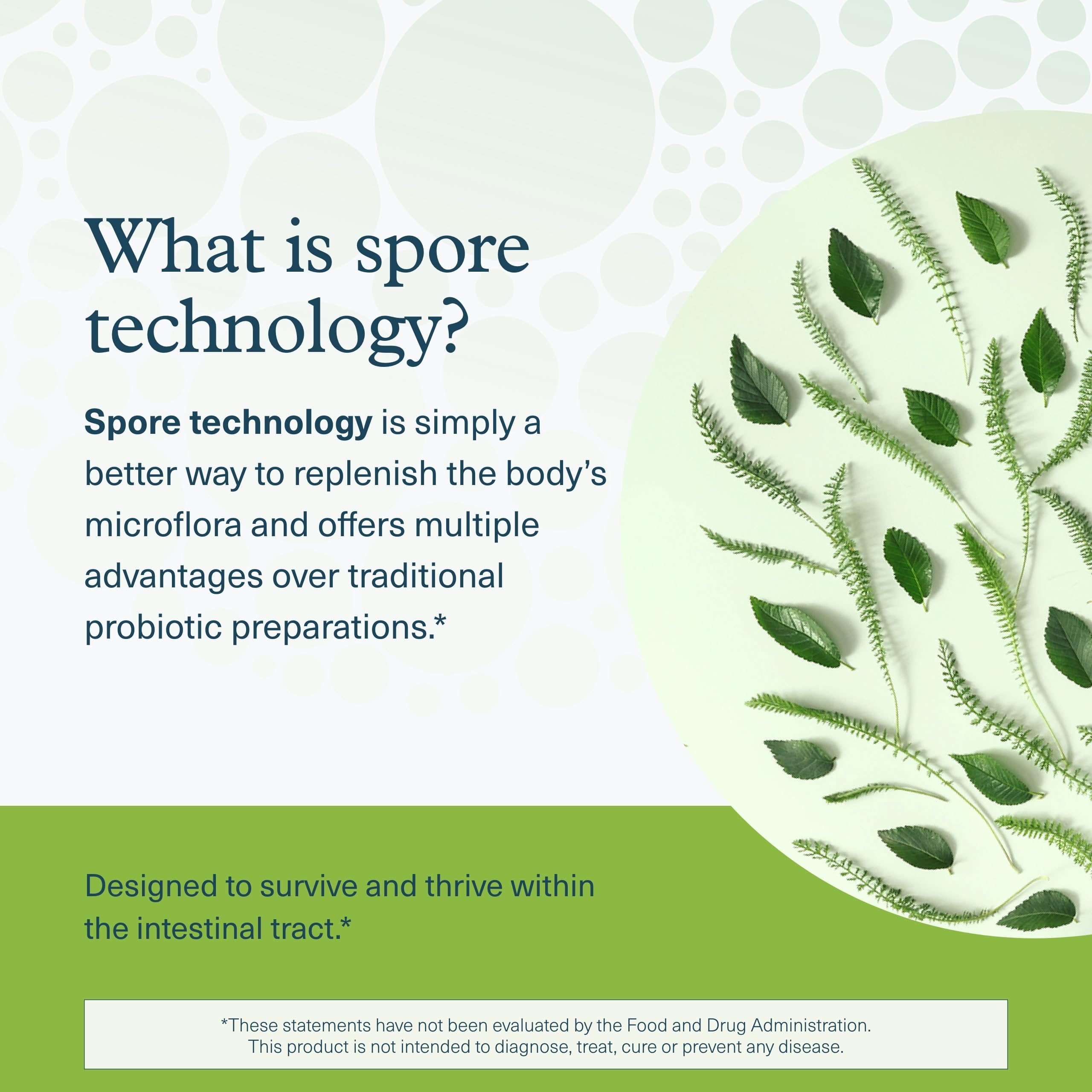 Triphala ingredient blend included in the probiotic formula