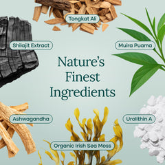 Active adults using the supplement as part of daily wellness routine