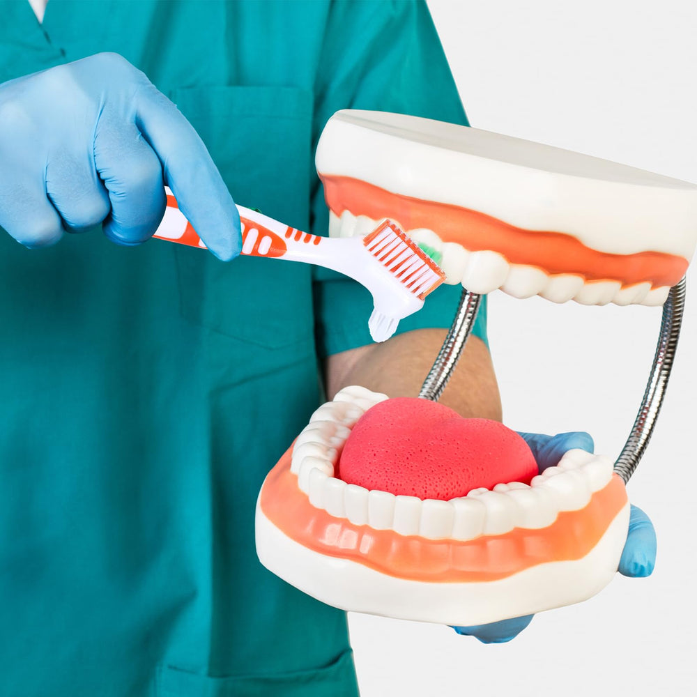 White carrying case included with denture brush set