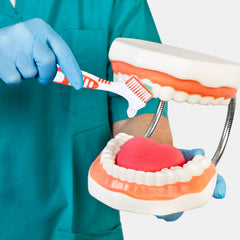White carrying case included with denture brush set