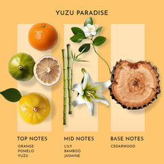 Ultrasonic diffuser releasing Yuzu Paradise aroma in a living space