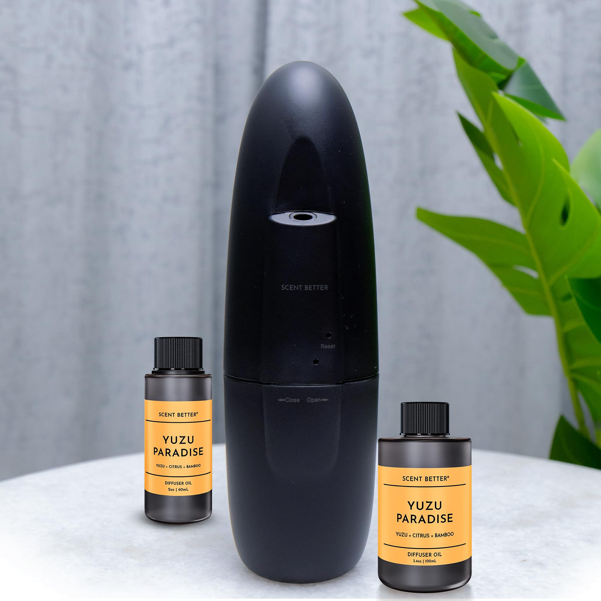 Lifestyle image of citrus fruits and bamboo representing Yuzu Paradise scent