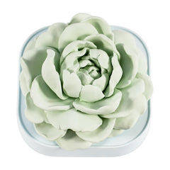 Jasmine-scented passive diffuser pre-scented, no oil required.