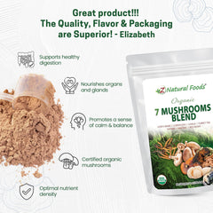 Organic mushroom powder close-up