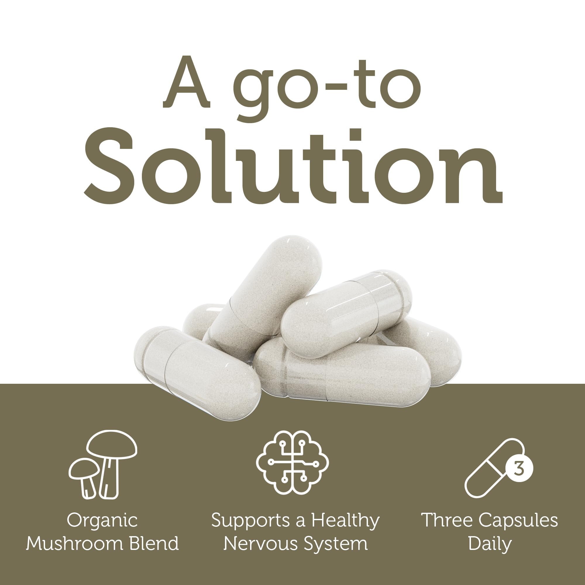 Contains Cognizin and Suntheanine in AdultFocus