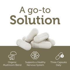 Contains Cognizin and Suntheanine in AdultFocus