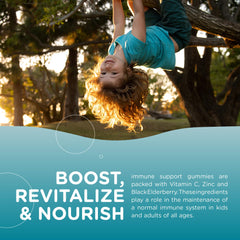 Nutrition facts for Zahler Chapter One Immune Support Gummies for Kids