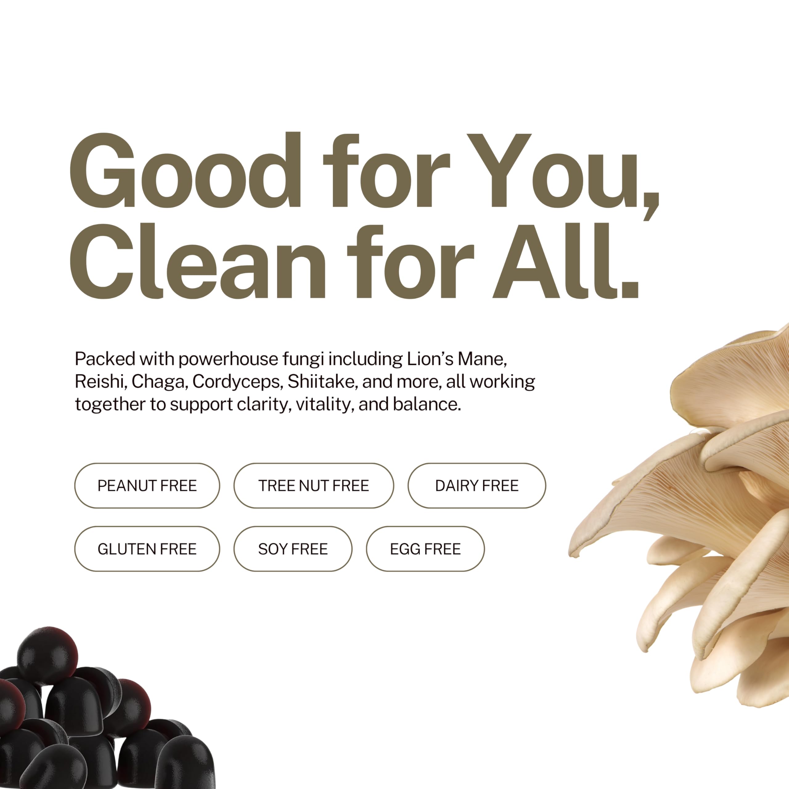 Nutrition facts panel for Zahler Chapter Six 10 in 1 Mushroom Complex Raspberry