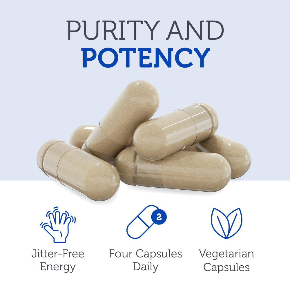 Zahler Mastermind ingredients concept illustration