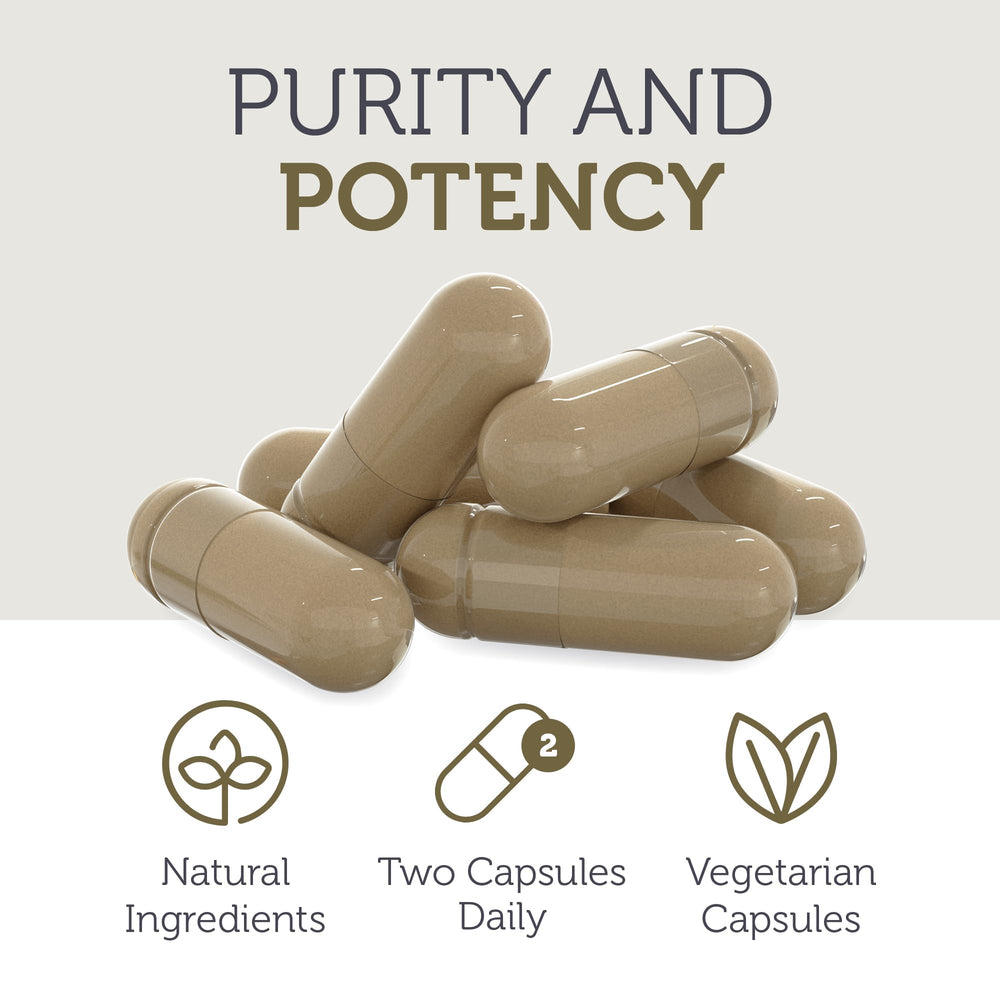 7-mushroom blend ingredients illustration