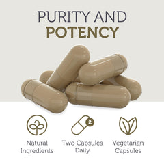 7-mushroom blend ingredients illustration