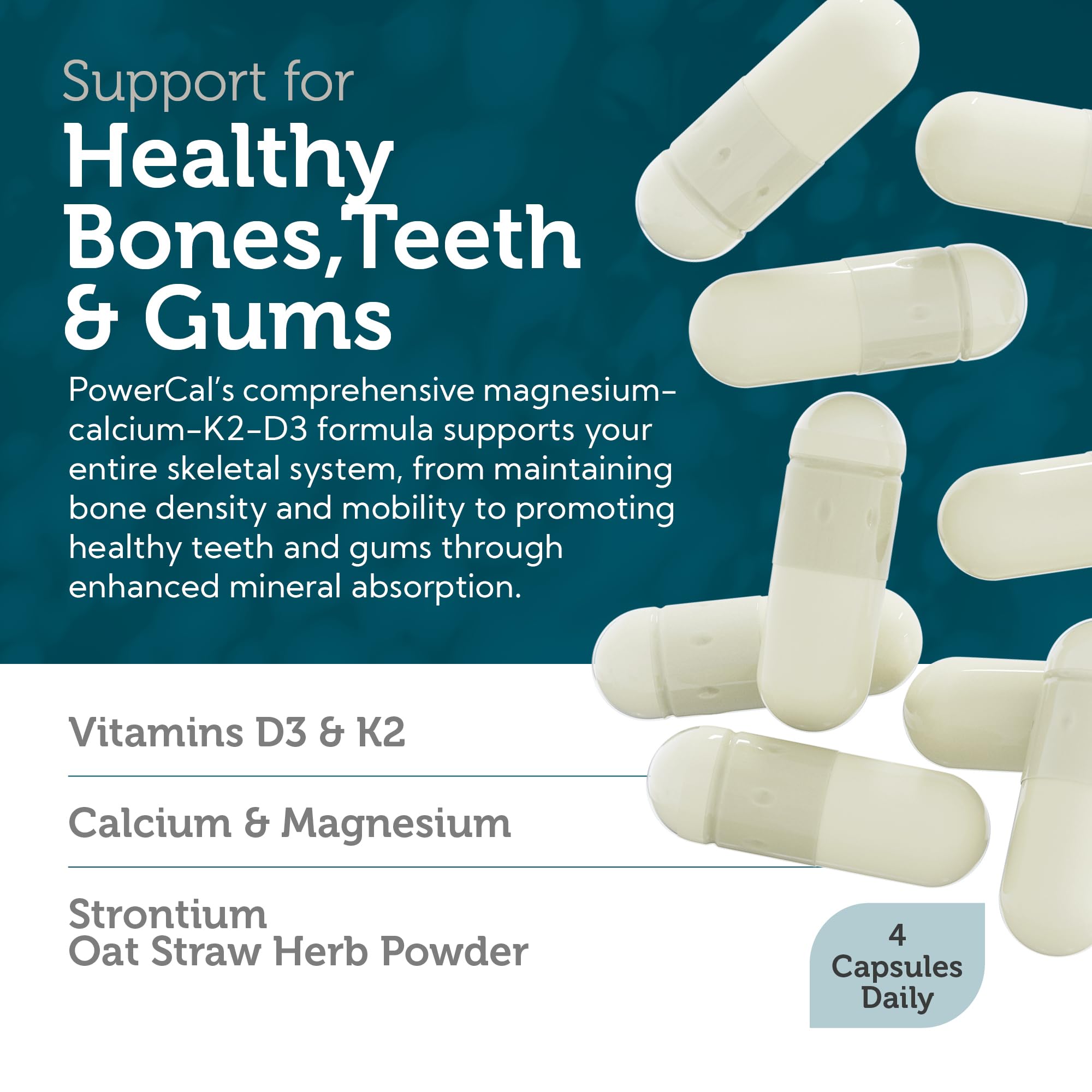 Graphic illustrating Zahler PowerCal bone health support