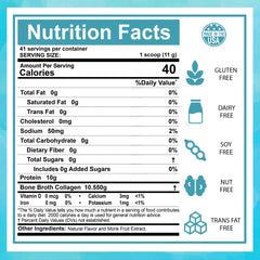 Close-up of vanilla protein powder texture