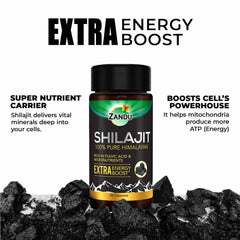 Close-up of Shilajit capsules