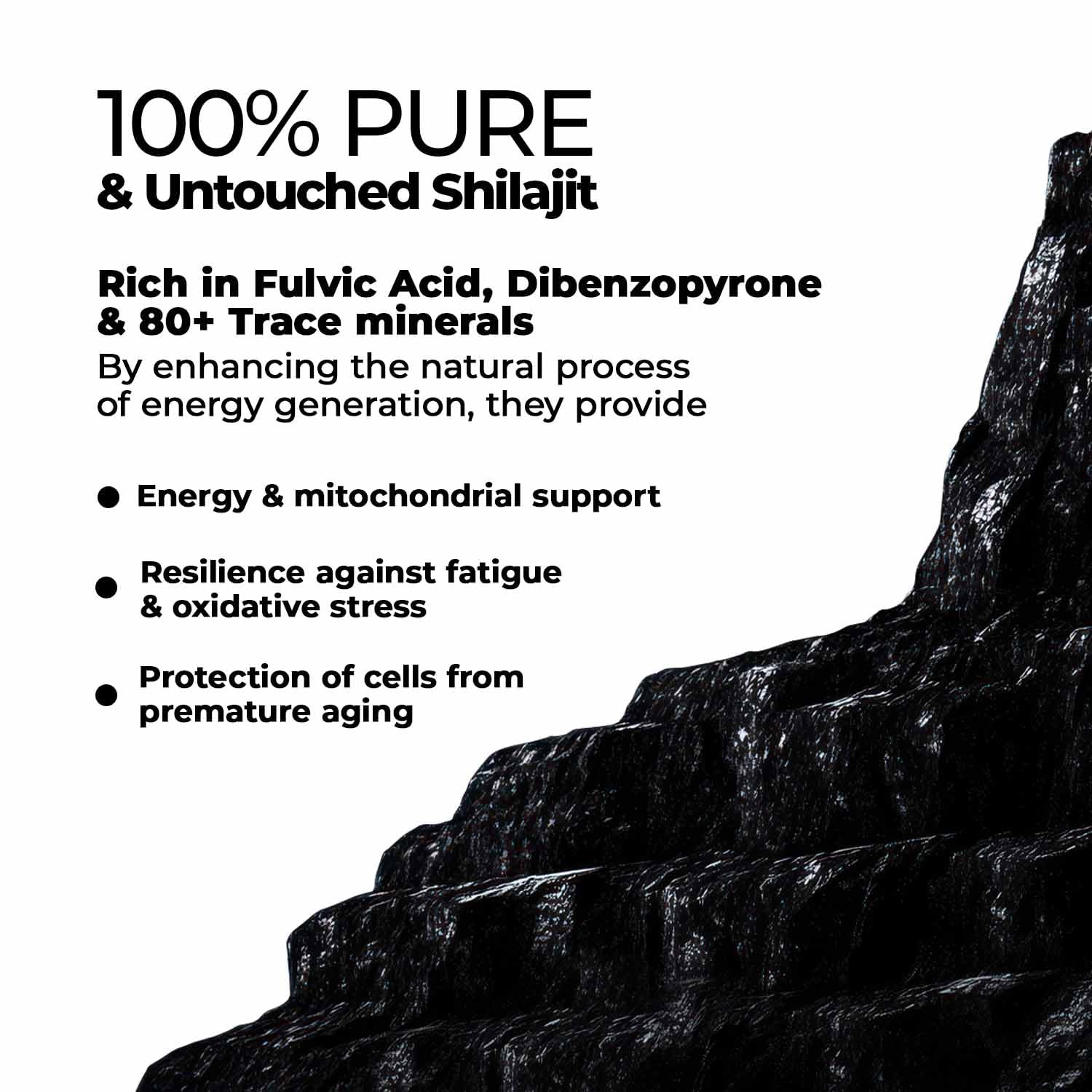 Immunity booster with Shilajit capsules