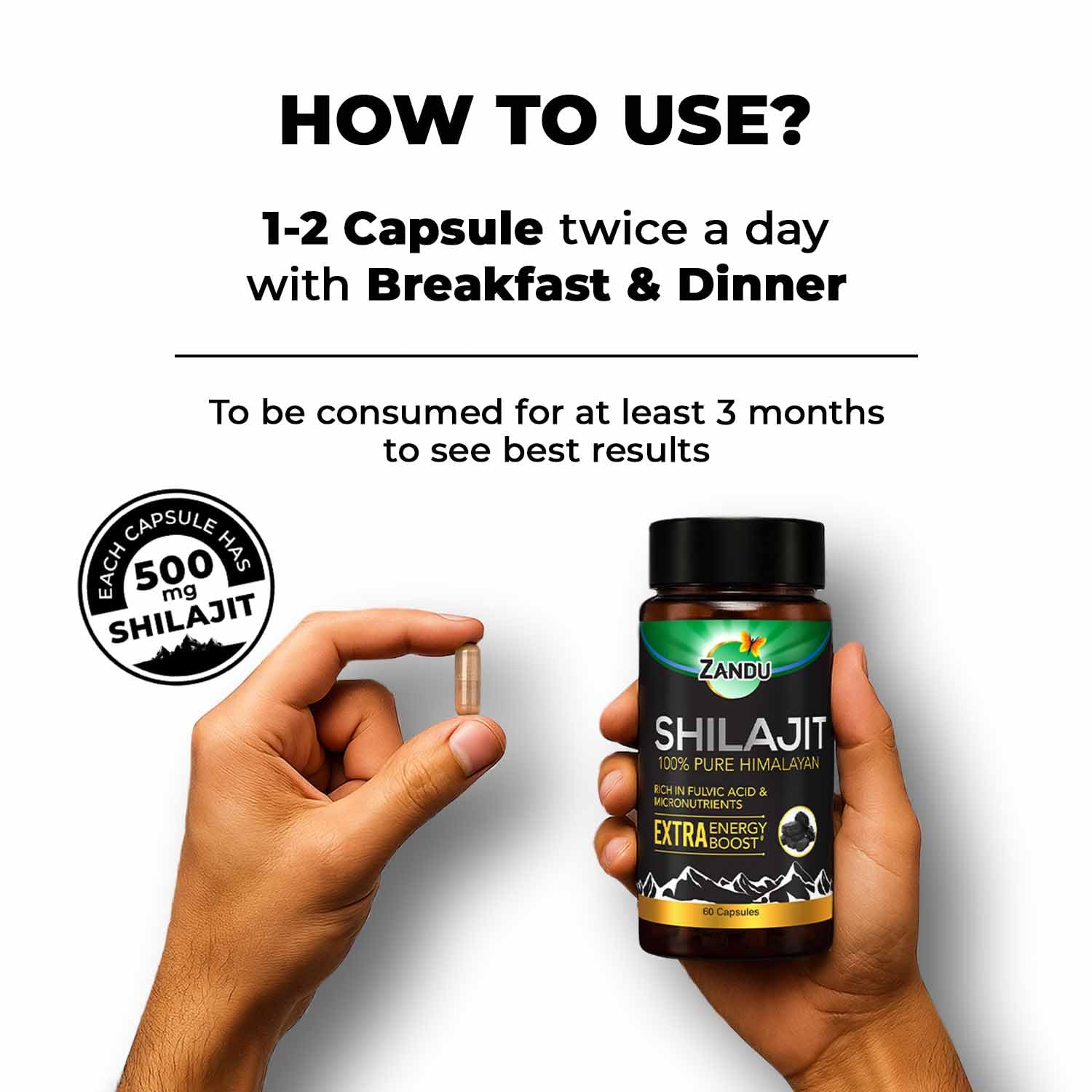 Shilajit resin extract and natural ingredients