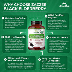 High-potency 10:1 elderberry extract capsule