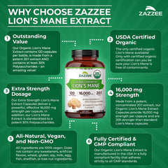 High-strength 20:1 Lion's Mane extract per capsule