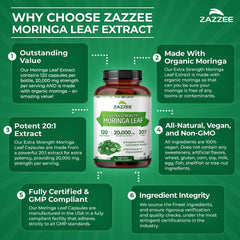 Vegan non-GMO moringa capsules