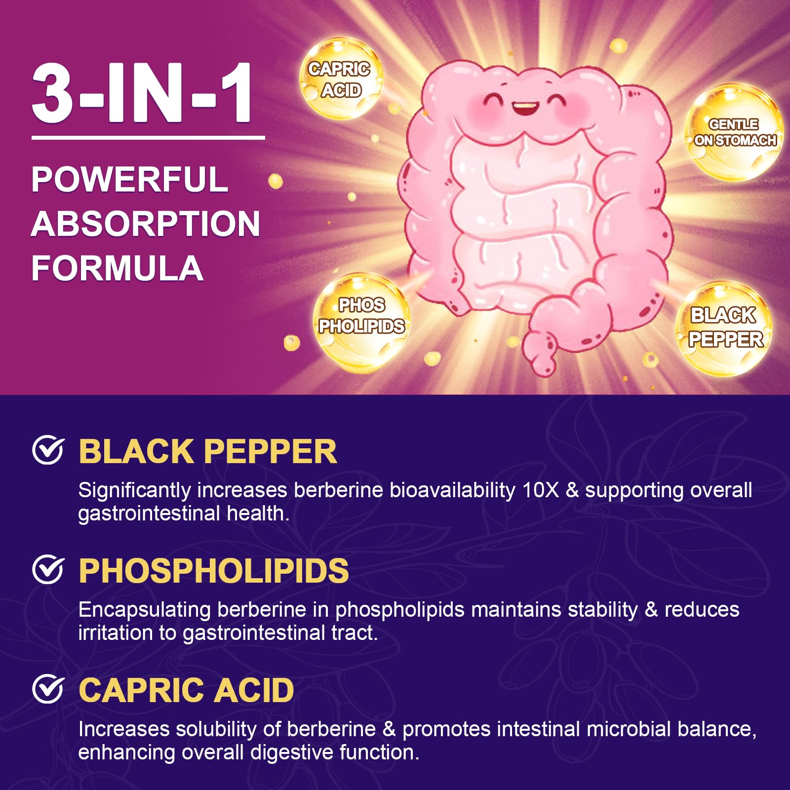 Illustration of cinnamon, ALA and capric acid benefits