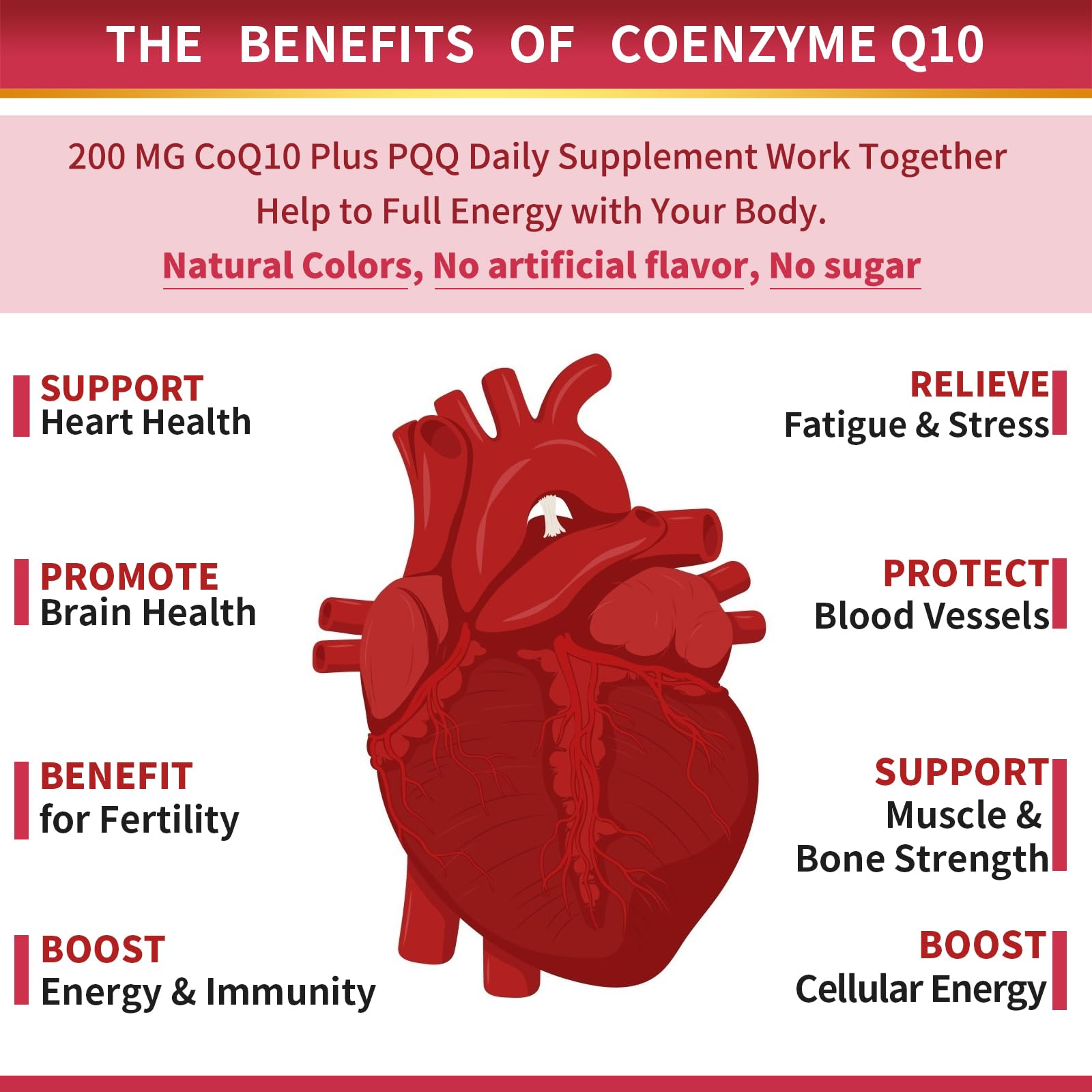 Heart health support from CoQ10 with PQQ and Omega-3