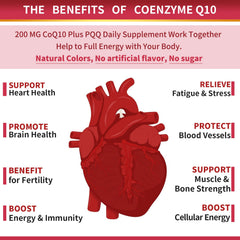 ZEBORA CoQ10 with black pepper extract for enhanced absorption