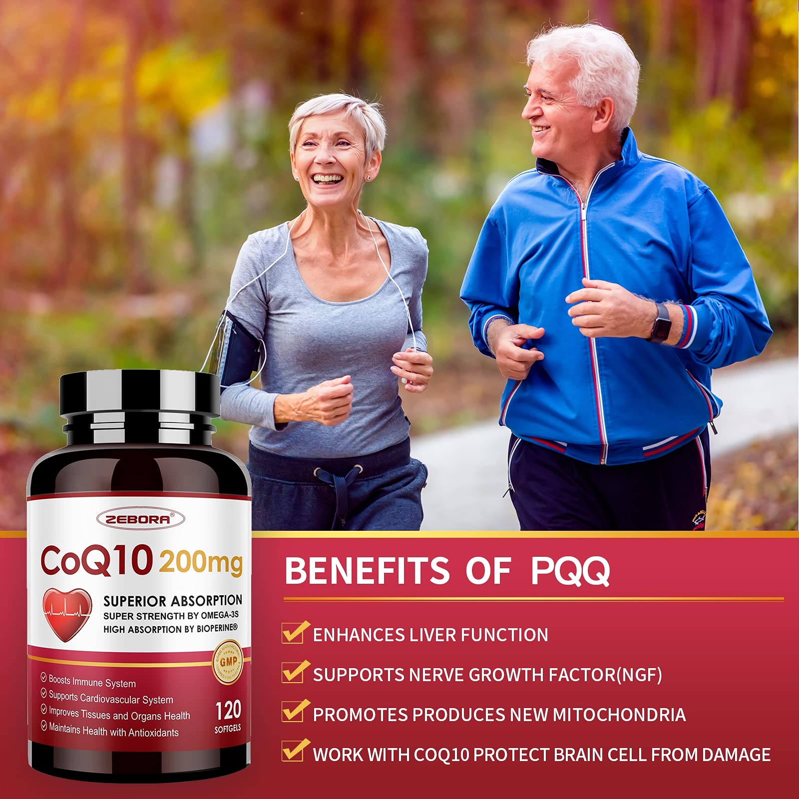 ZEBORA CoQ10 with sunflower lecithin supporting absorption