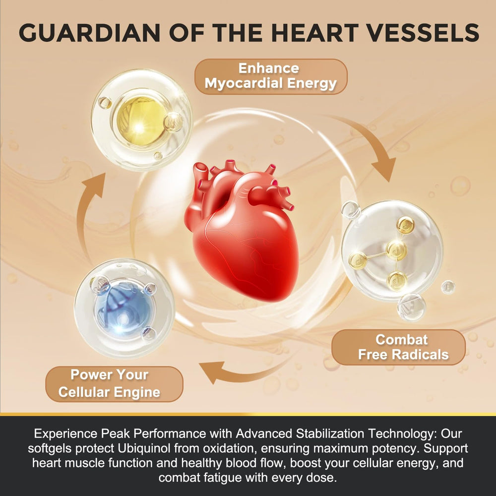 Graphic illustrating enhanced absorption and bioavailability