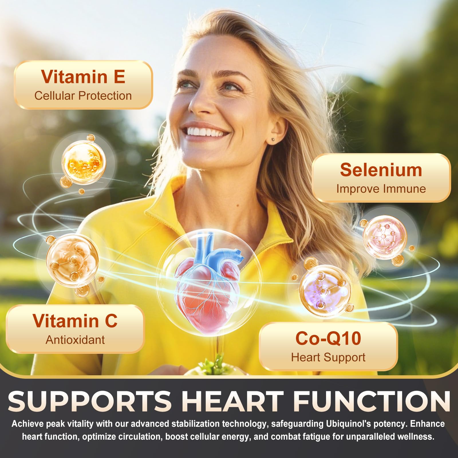 Illustration of ubiquinol absorption technology