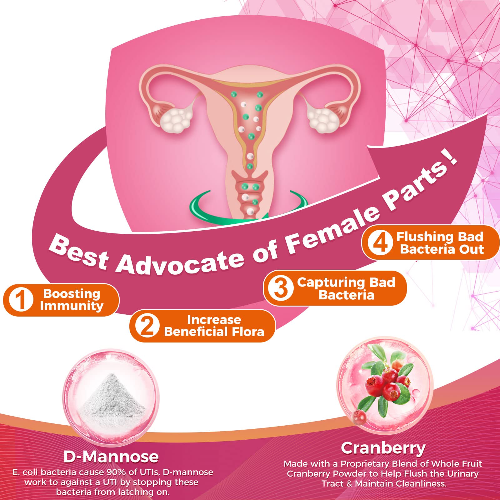 Delayed-release technology graphic for probiotic protection