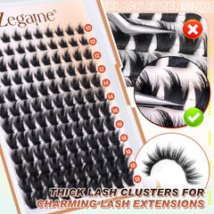 Zegaine handy ideas for lash maps and creative styling.
