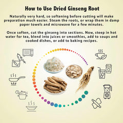 Close-up of untrimmed American ginseng root