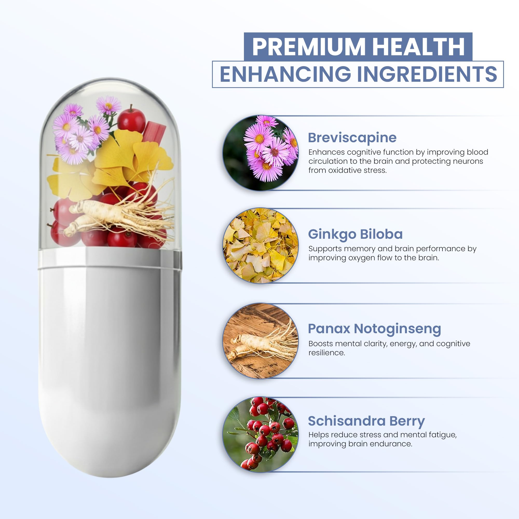 Ginkgo Biloba leaves used in IQ+ Brain formula