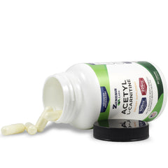 Graphic showing synergy of Acetyl-L-Carnitine and Alpha Lipoic Acid