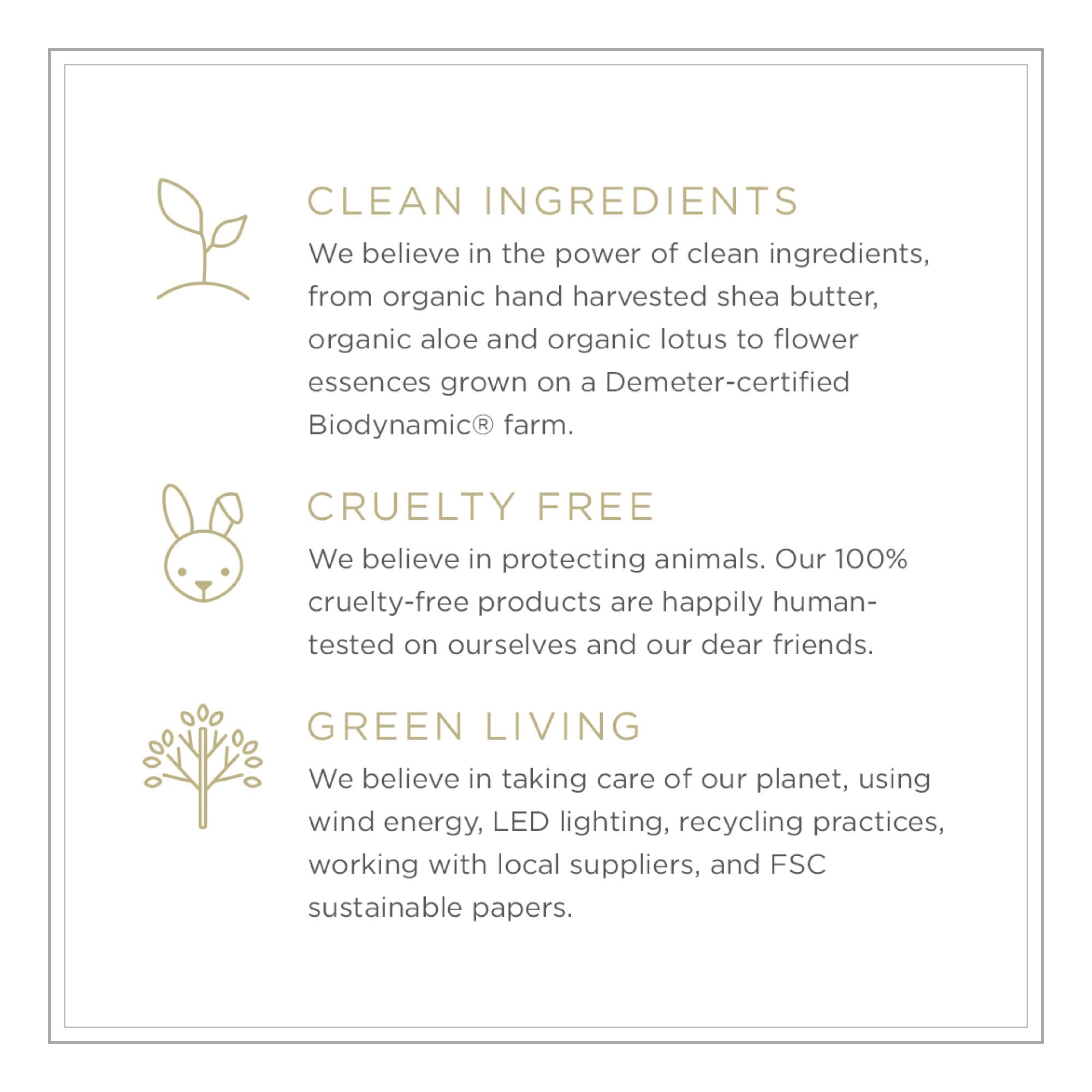 Zents Attar vegan, cruelty-free packaging supports clean beauty.