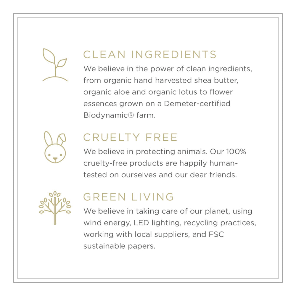 Zents Attar vegan, cruelty-free packaging supports clean beauty.