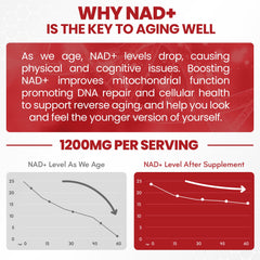 Individual ZenUP NAD+ stick packets for on-the-go use
