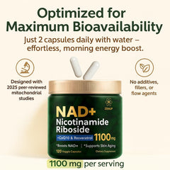 ZenUP liposomal technology close-up illustrating improved absorption