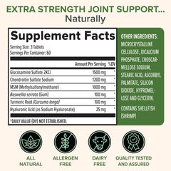Close-up of Glucosamine, Chondroitin and MSM ingredients