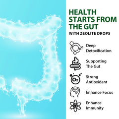 Illustration of digestive wellness and mineral support