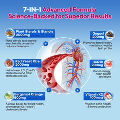 Ingredients graphic highlighting plant sterols, stanols, and red yeast rice