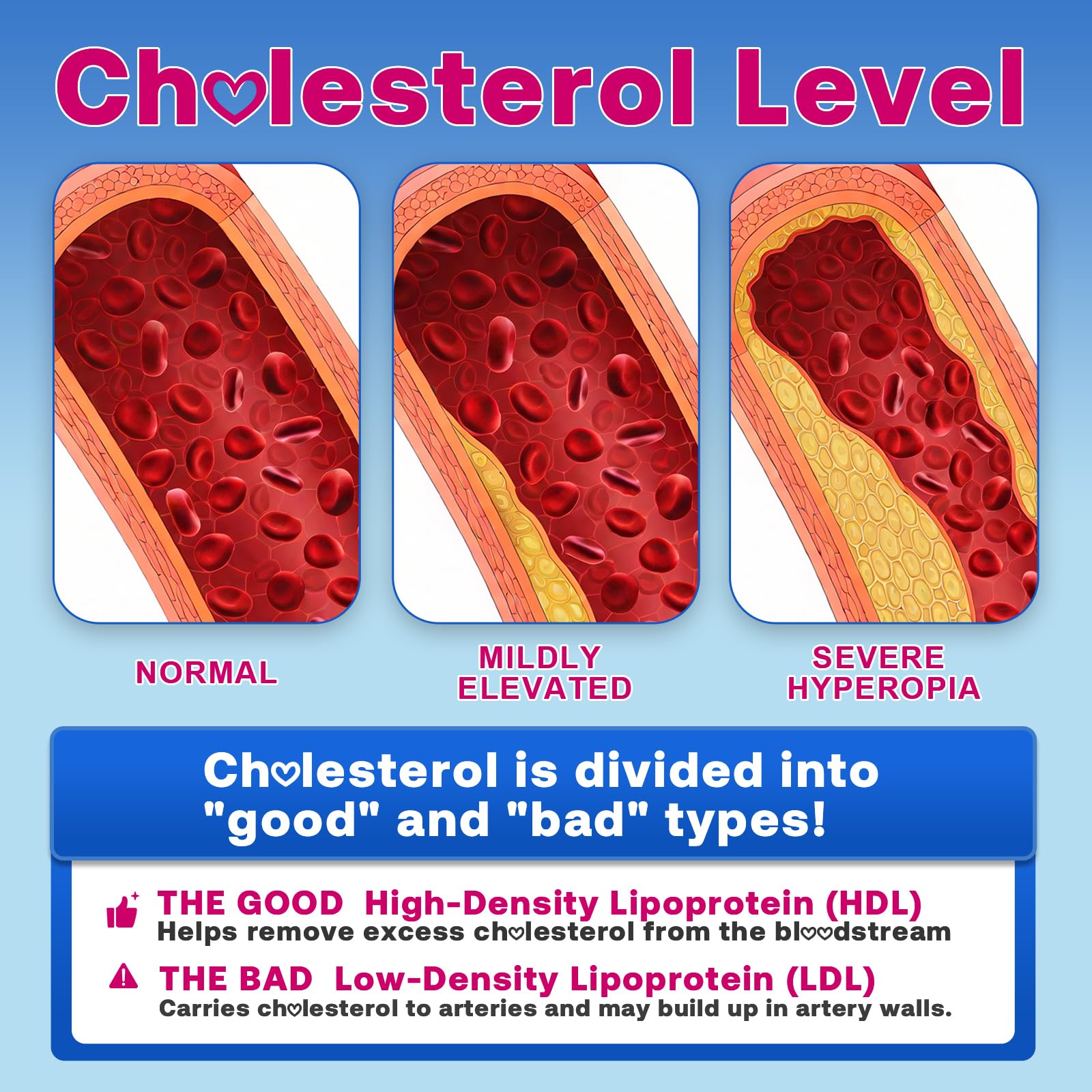Heart-health illustration showing balanced cholesterol and circulation