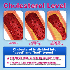 Heart-health illustration showing balanced cholesterol and circulation