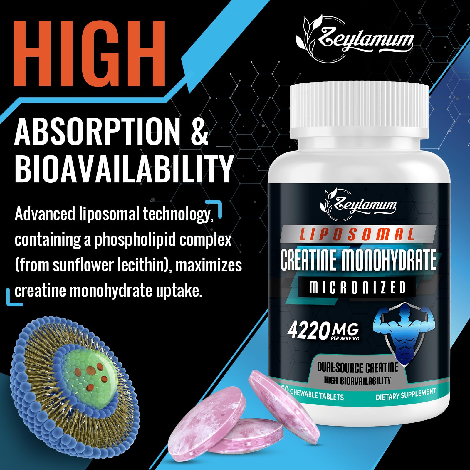 Graphic showing dual-source creatine with micronized creatine monohydrate and creatine HCL
