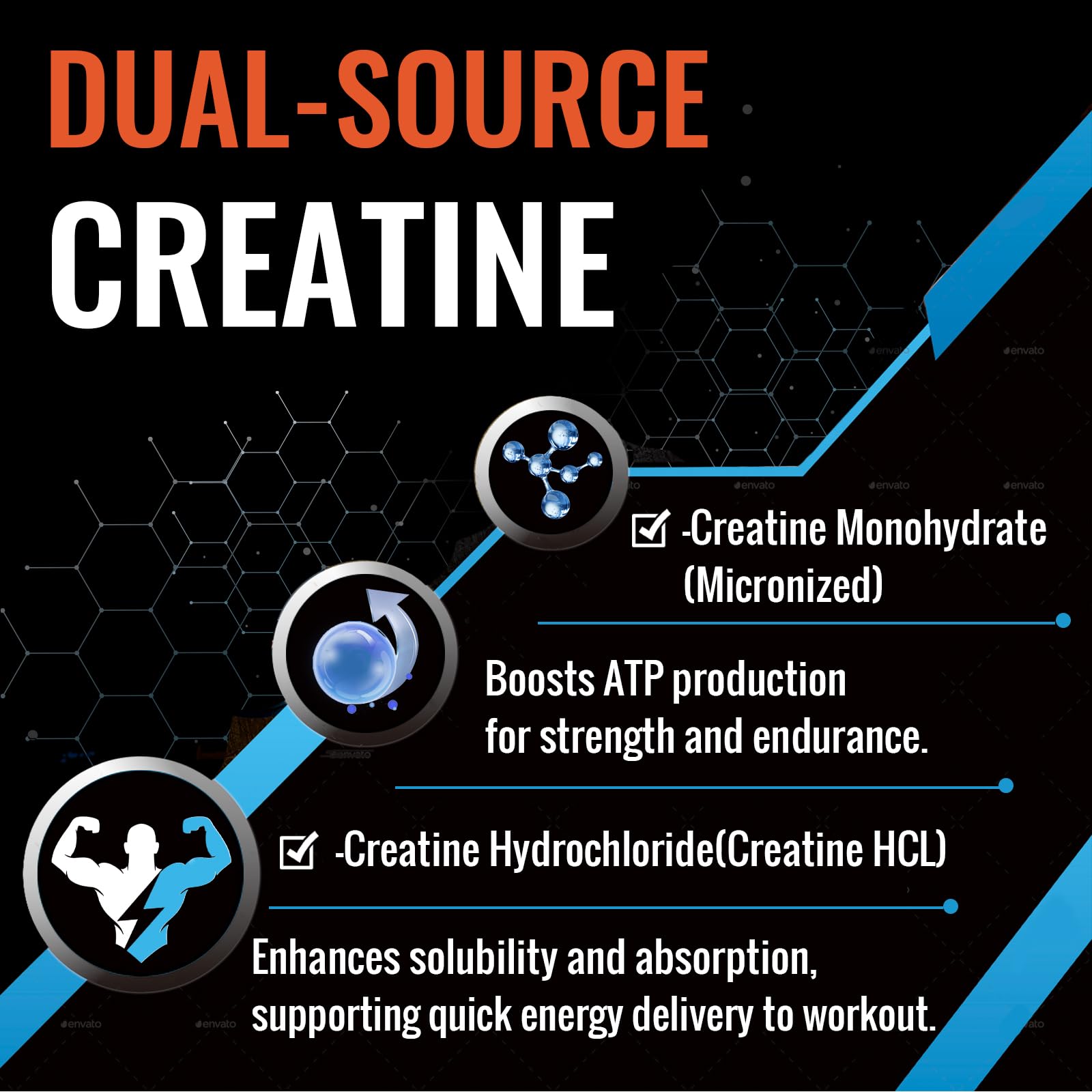 Liposomal delivery concept for creatine absorption