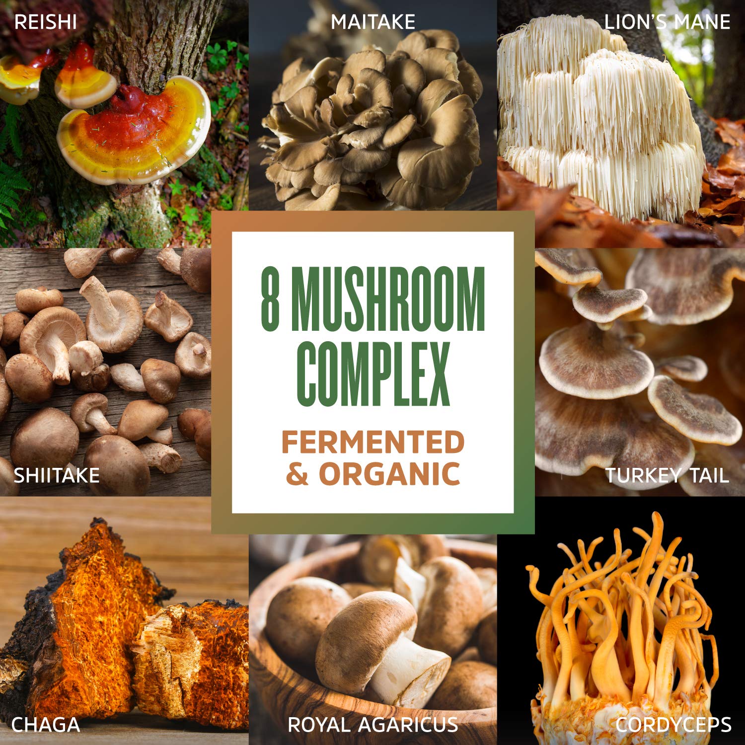 ZHOU Mushroom 8-Plex serving scoop and powder