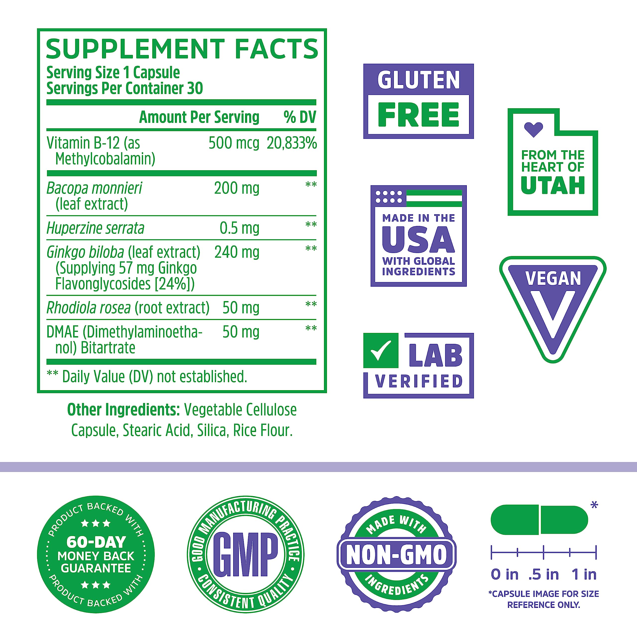 Close-up of key ingredients Bacopa monnieri, Ginkgo biloba, and Rhodiola rosea