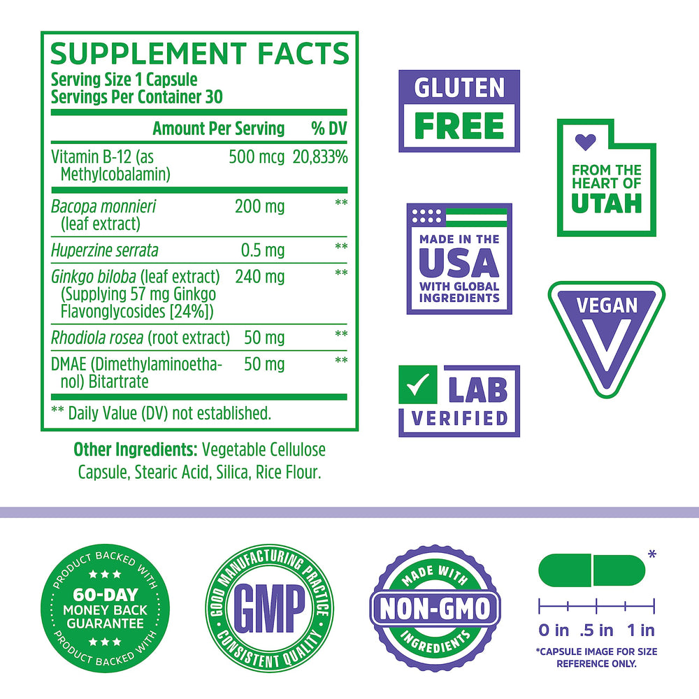 Close-up of key ingredients Bacopa monnieri, Ginkgo biloba, and Rhodiola rosea