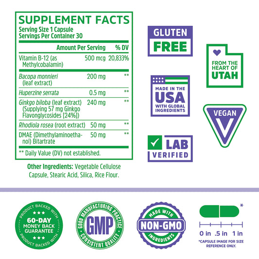 Close-up of key ingredients Bacopa monnieri, Ginkgo biloba, and Rhodiola rosea