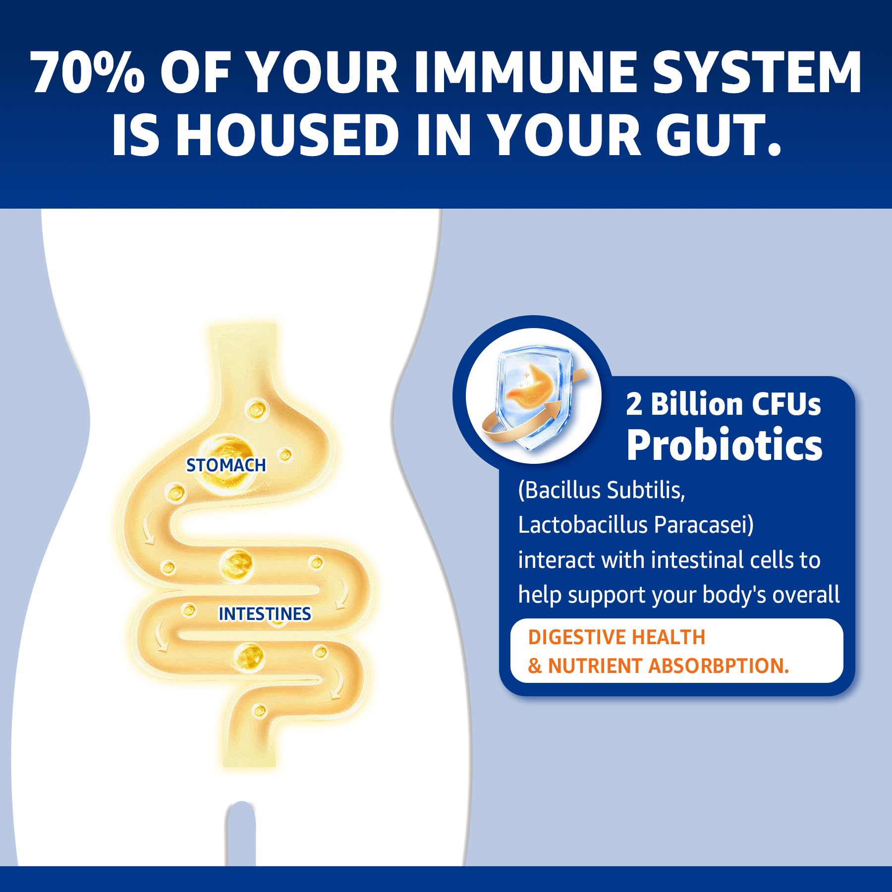 120-count zinc copper probiotic gummies bottle on white